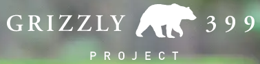 Grizzly 399 Project